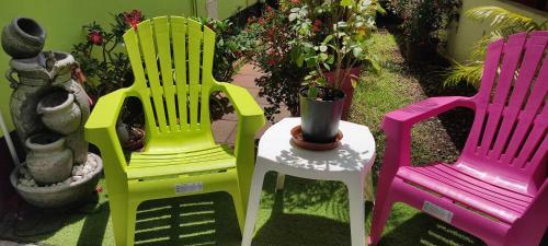 Apartamento Le Petit Cactus 1