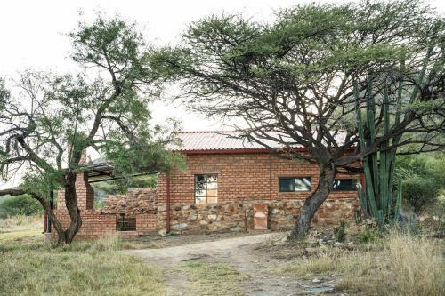 Hostal Otavi Vineyards Self-catering & Camping