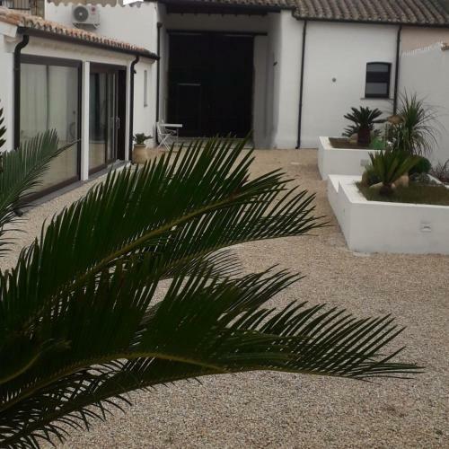 Casa Rifa