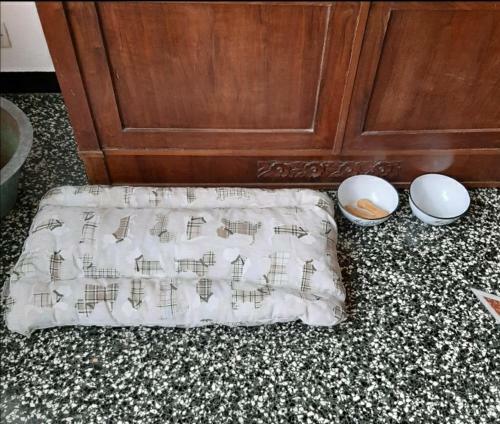 Apartamento La Tana Dei Conigli