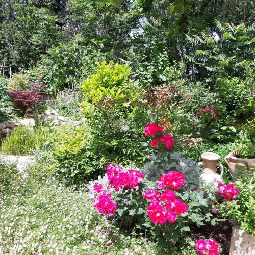 Hostal Il Giardino Del Borgo