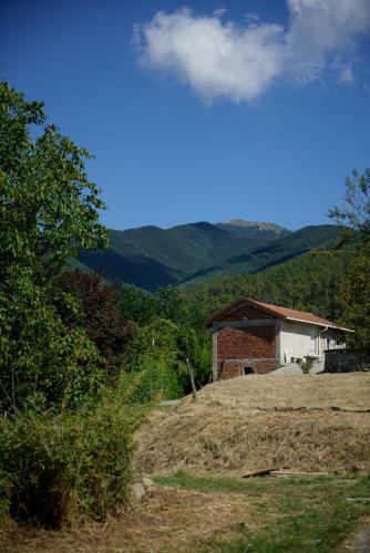 Apartamento Casa Rio