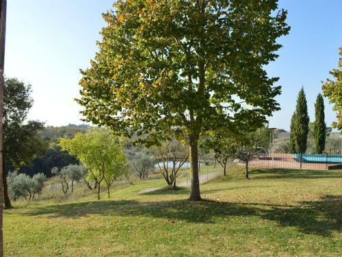 Apartment In Asciano With Shared Panoramic Swimming Pool