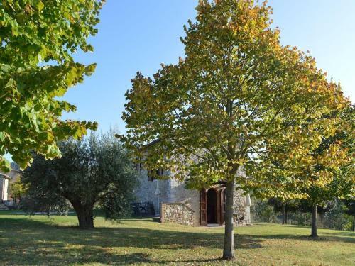 Apartment In Asciano With Shared Panoramic Swimming Pool