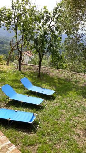 Relax