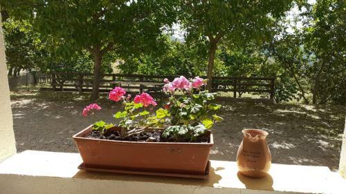 Agroturismo Agriturismo S'armidda