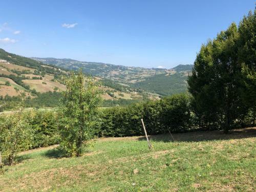 Capannina Vesale