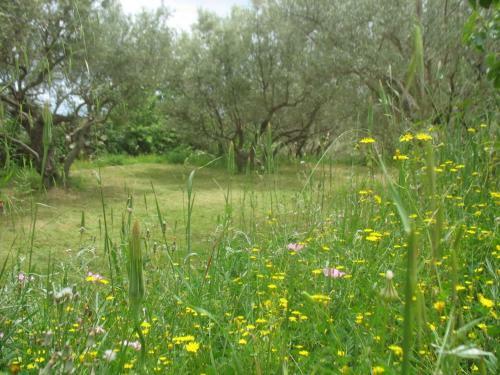 Agroturismo Villa Wanda