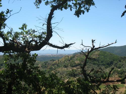 Agroturismo Villa Wanda