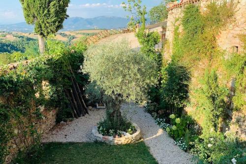 Hotel Il Borgo Di Olive