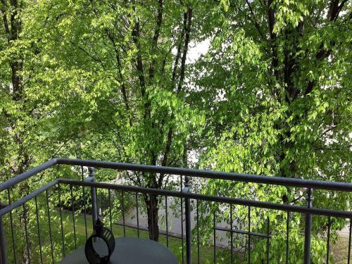 Apartamentos Fewo II - V Altstadt - Am Grossen Garten