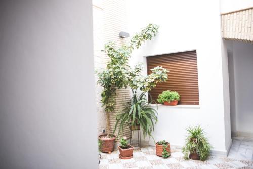 Apartamento Posada De Momo