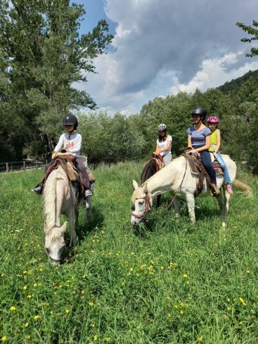 Agroturismo Pferdehof Ansteingut