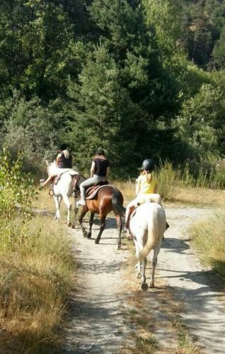 Agroturismo Pferdehof Ansteingut