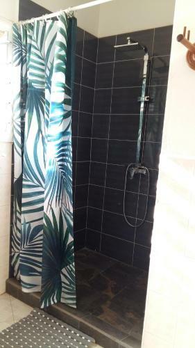 Hostal Palm Guest House