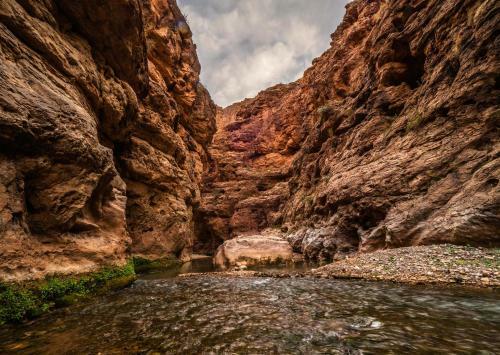 Hotel Auberge Atlas Dades
