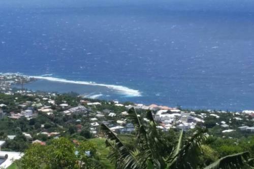 Apartamento Studio Pour Escapade � La R�union; �le Intense