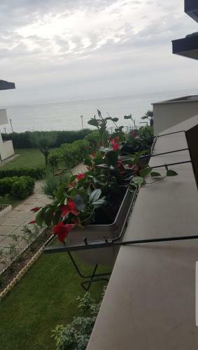 Casa Vacanza