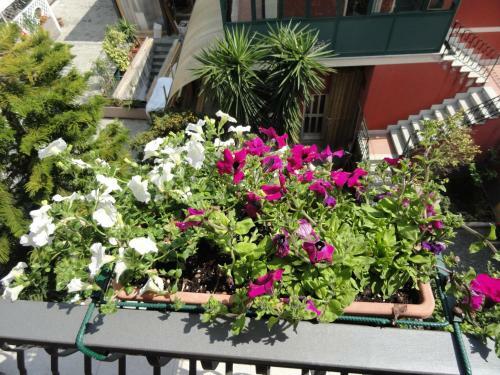 Apartamento La Lampara
