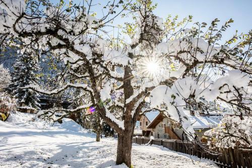Apartamento Haus Bergfrieden Seiser Alm