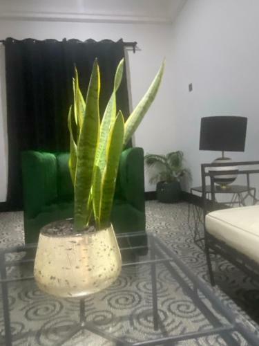 Muse Boutique Hotel