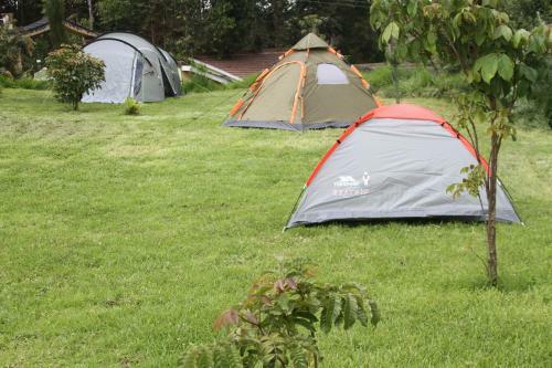 Misty Mountain Lodge