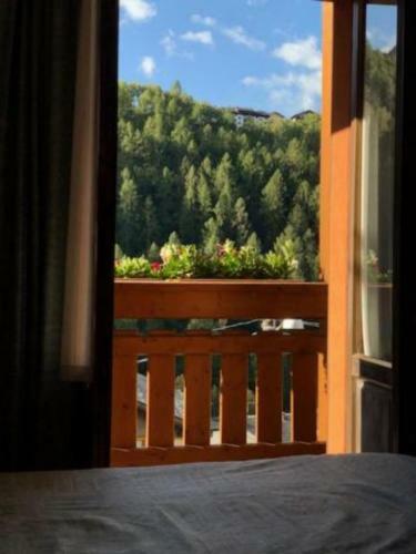 Hotel Moizi