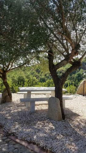 B&B Casa Vacanza Centro Sardegna