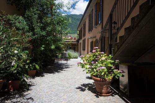 B&B Panemiele
