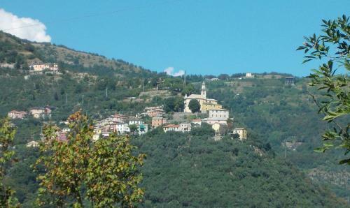 Casa Canepa