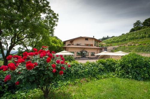 Bed & Breakfast Al-colle