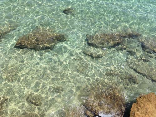 Apartamento Relax Due Passi Dal Mare