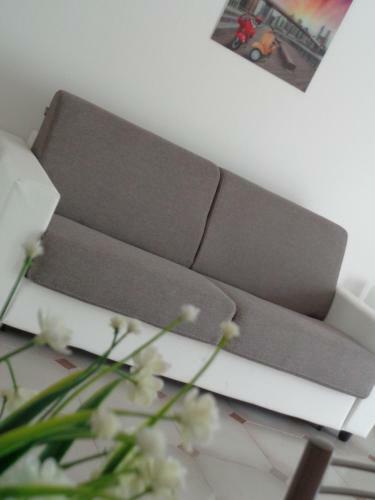 Hostal Mariposa Sweet Home