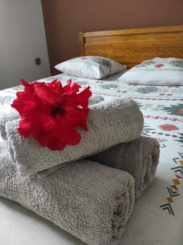 Villa La Caz � Hibiscus