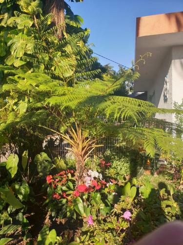 Apartamento Couleurs Des �les
