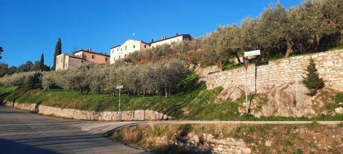 Apartamento La Casa Tra Gli Ulivi