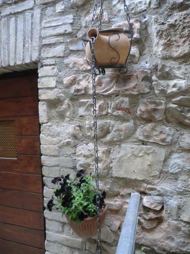 Hostal La Corta Di Spello Camere