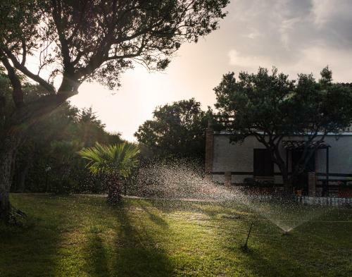 Residence Cassiodoro