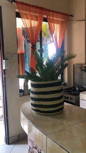 Apartamento Ellina Properties