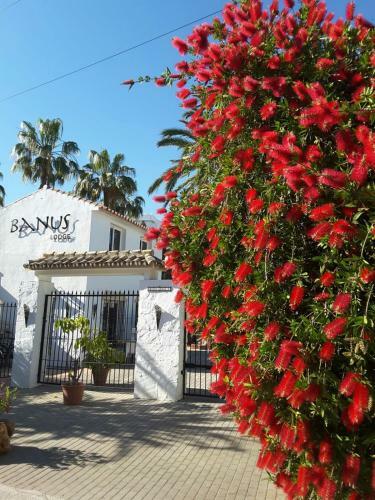 Apartamento Banus Lodge