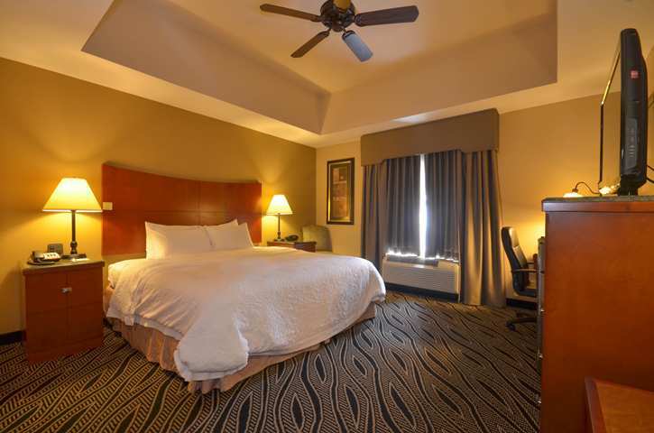 Hotel Hampton Inn Bryant