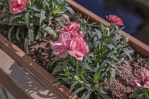 Apartamento Villa Bonelli