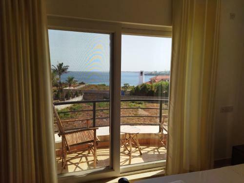 Palm Terrace Oceanview Apartment