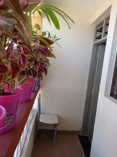 Apartamento Sweet Home