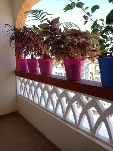 Apartamento Sweet Home