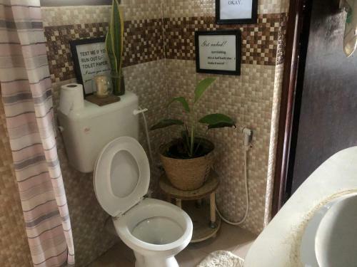 Lovely One Bedroom Apartment