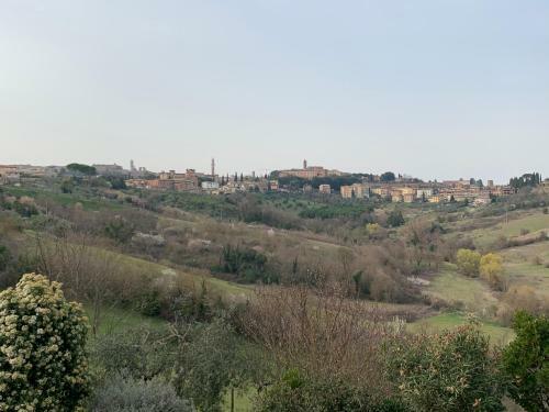 Apartamento Il Vezzosino