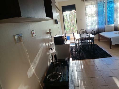 Mkombodzi Studio Apartment