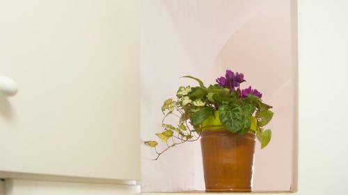 Apartamento Casavacanze Belvedere Sperlonga
