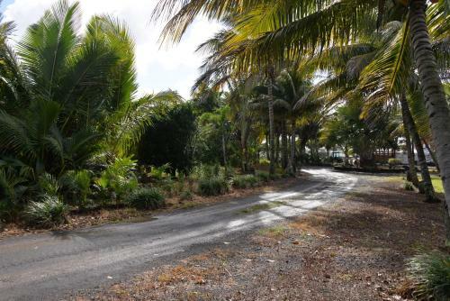 Bed & Breakfast Domaine Des Oiseaux R�union
